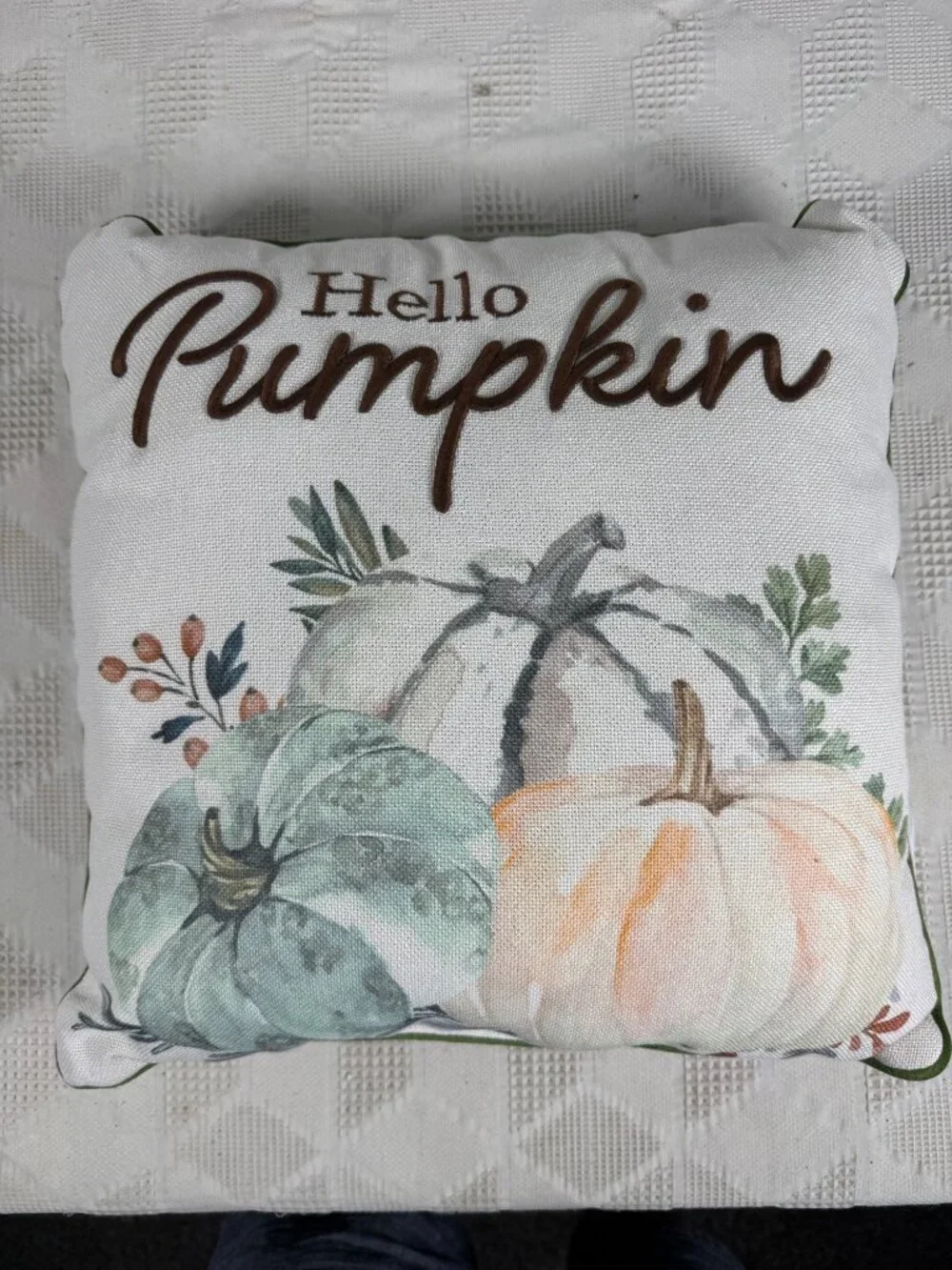 Hello Pumpkin Fall Throw Pillow Embroidered Text Watercolor Pumpkin 16 Inches